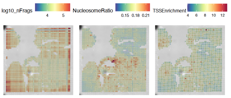 Plots displaying quality control metrics on histology